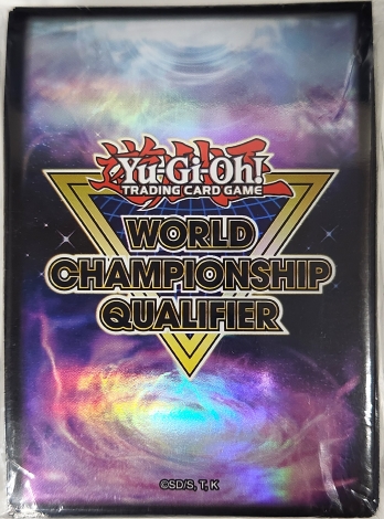 ڳ World Championship Qualifier 2024 80