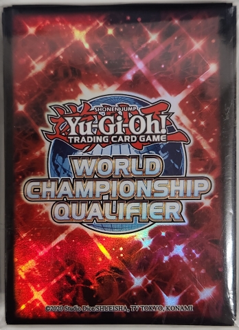 ڳ World Championship Qualifier 2023 100